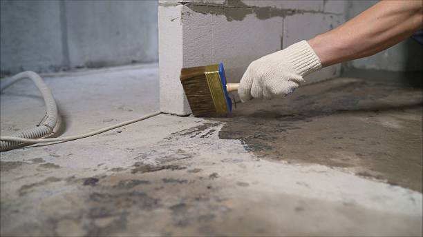 24/7 Emergency Waterproofing experts in Walkerville, MI